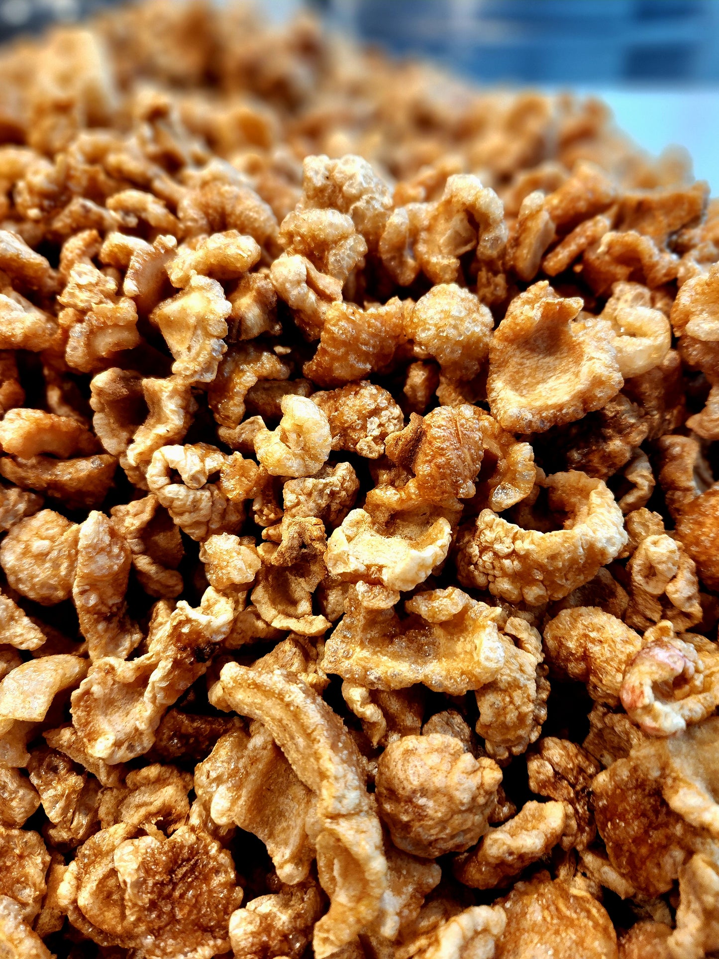 Fried Pork Skin